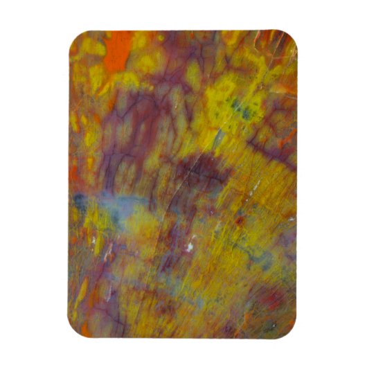 Petrified Wood Magneet (Verticaal)