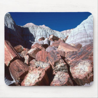 Petrified Wood Mousepad Muismat