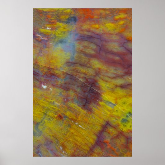 Petrified Wood Poster (Voorkant)