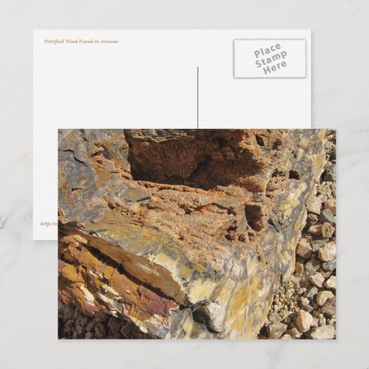 Petrified Wood, Side Briefkaart (Voorkant / Achterkant)