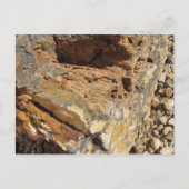 Petrified Wood, Side Briefkaart (Voorkant)