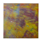 Petrified Wood Tegeltje (Voorkant)