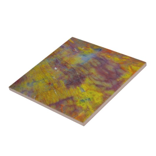 Petrified Wood Tegeltje (Zijkant)