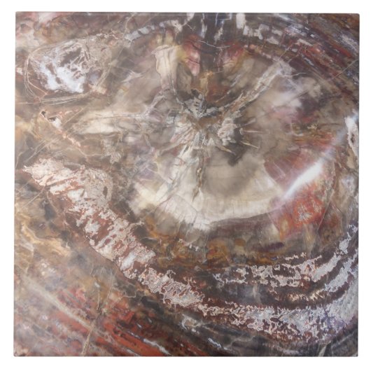 Petrified Wood Tile Tegeltje (Voorkant)