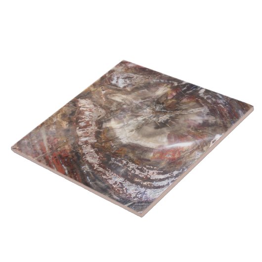 Petrified Wood Tile Tegeltje (Zijkant)