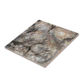 Petrified Wood, voorzijde Tegeltje (Zijkant)