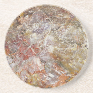 Petrified Wood Zandsteen Onderzetter