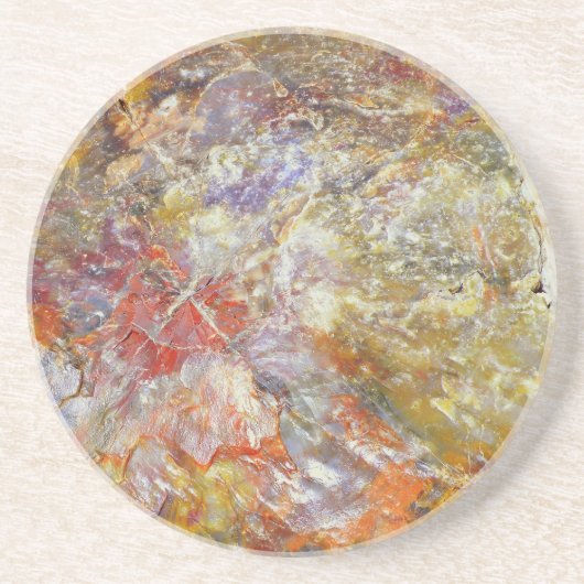 Petrified Wood Zandsteen Onderzetter (Voorkant)