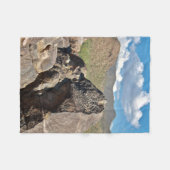 Petroglief Rotskunst Fleece Deken (Voorkant (Horizontaal))