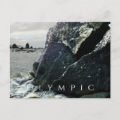 Petroglyphs, Olympic National Park, Washington Briefkaart (Voorkant)