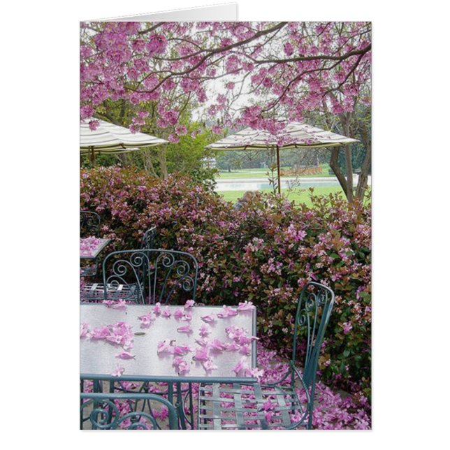 petroleumether (Voorkant)