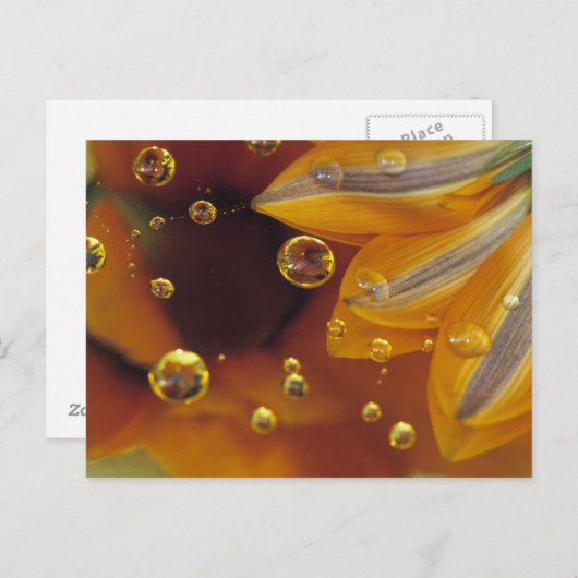 Petroleumether op het reflecterende oppervlak met  briefkaart (Voorkant / Achterkant)