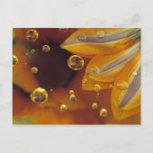 Petroleumether op het reflecterende oppervlak met briefkaart (Voorkant)