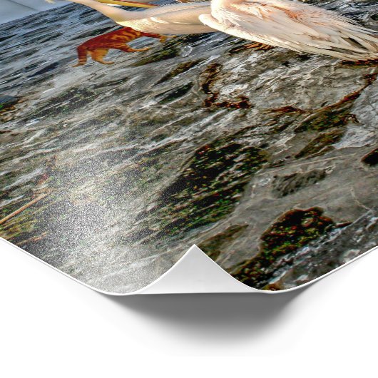 Petros Foto Afdruk (Hoek)