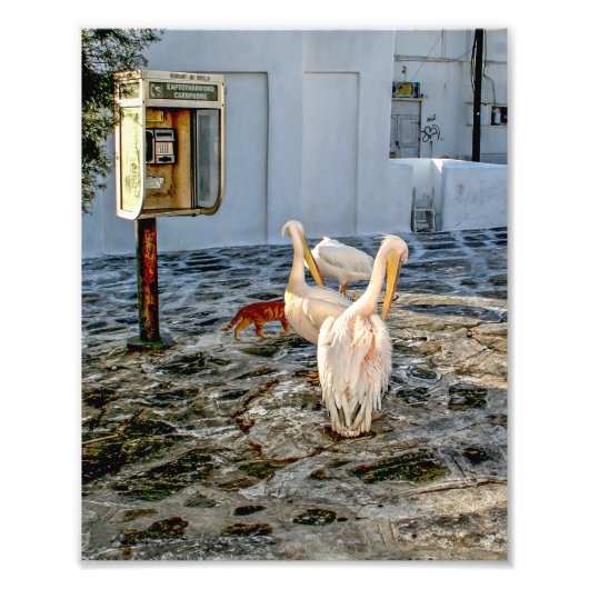 Petros Foto Afdruk (Voorkant)