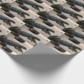 Petrosaurus thalassinus cadeaupapier (Hoek)