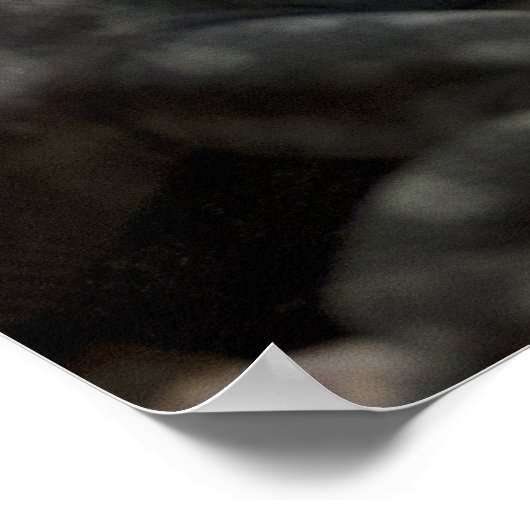 Petrosaurus thalassinus poster (Hoek)