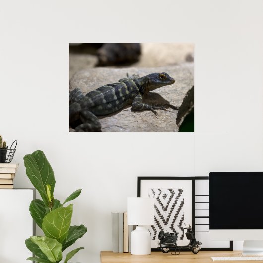 Petrosaurus thalassinus poster (Thuiskantoor)