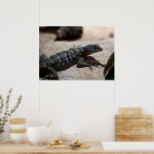 Petrosaurus thalassinus poster (Keuken)