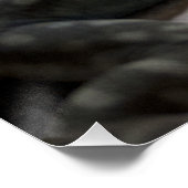 Petrosaurus thalassinus poster (Hoek)