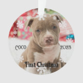 Pet's eerste kerst Keepsake Acryl Ornament (voorkant)