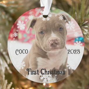 Pet's eerste kerst Keepsake Acryl Ornament