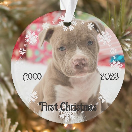 Pet's eerste kerst Keepsake Acryl Ornament