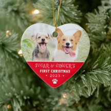 Pet's eerste kerstcadeau Druk heldere rode foto af