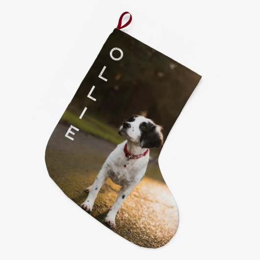 Pet's eerste kerstfoto grote kerstsok (Voorkant (Hangend))