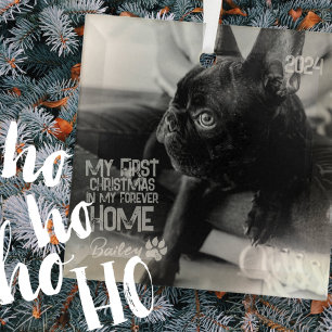 Pet's Eerste Kerstmis voor altijd Thuis Moderne Gr Glas Ornament