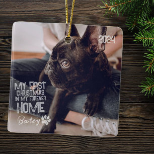Pet's Eerste Kerstmis voor altijd Thuis Moderne Gr Keramisch Ornament
