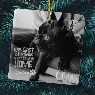 Pet's Eerste Kerstmis voor altijd Thuis Moderne Gr Keramisch Ornament