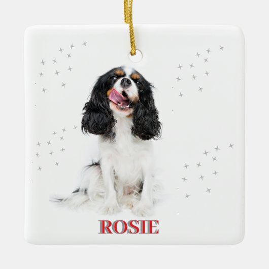 Pet's First Christmas in Forever Home Modern Keramisch Ornament (Voorkant)