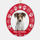Pet's First Christmas Paw Print Ornament (Links)