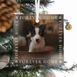 Pets for ever Home Foto Typografie Glas Ornament<br><div class="desc">Herdenking van een eerste kerstfeest in hun voorgoed thuis met dit elegante ornament van fotoglas. Het ontwerp bevat de tekst 'FOREVER HOME' in witte typografie die een afbeelding van je keuze maakt,  leuke kleine witte poetafdrukken met hartcentra en hun naam.</div>