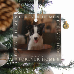 Pets for ever Home Foto Typografie Glas Ornament