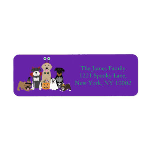 Pets Halloween Costumes Etiket
