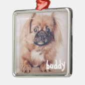 Pet's kerstcadeautjes, Happy Holiday-groet Metalen Ornament (Links)