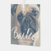 Pet's Kerstmis Simple Happy Holiday Greeting Glas Ornament (Voorkant links)