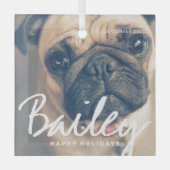 Pet's Kerstmis Simple Happy Holiday Greeting Glas Ornament (Voorkant)