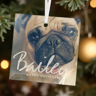 Pet's Kerstmis Simple Happy Holiday Greeting Glas Ornament