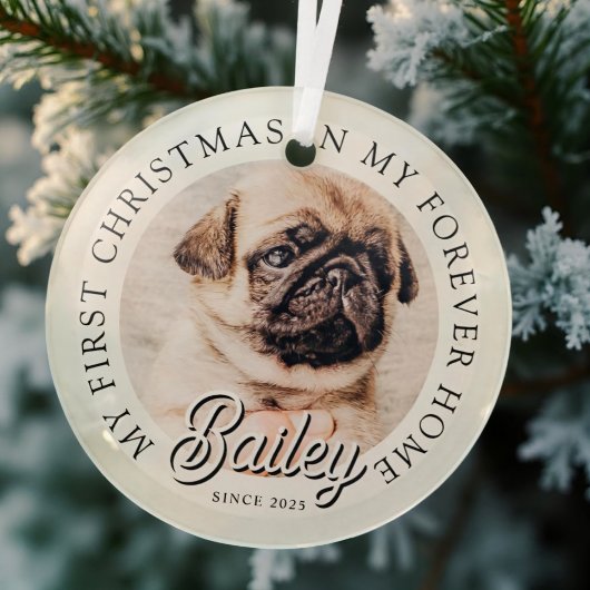 Pet's My First Christmas in Forever Home Modern Glas Ornament