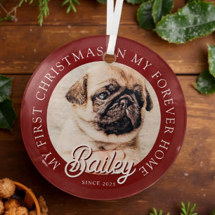 Pet's My First Christmas in Forever Home Modern Glas Ornament