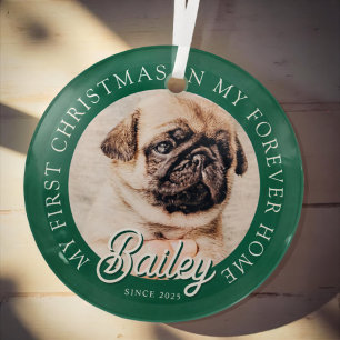 Pet's My First Christmas in Forever Home Modern Glas Ornament