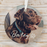 Pet's Simple Modern Cool Typografie Naam en foto Glas Ornament<br><div class="desc">Dit eenvoudige en moderne ontwerp is samengesteld uit moderne eenvoudige speelse scripttypografie. Voeg aangepaste huisdierenfoto toe.</div>