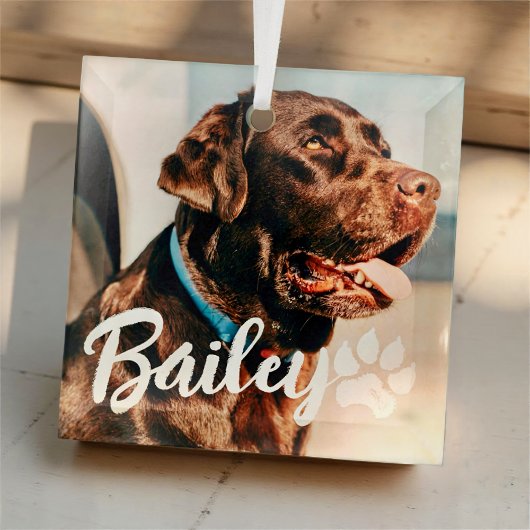 Pet's Simple Modern Cool Typografie Naam en foto Glas Ornament