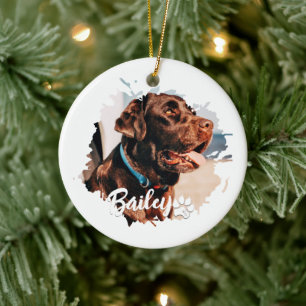 Pet's Simple Modern Cool Typografie Naam en foto Keramisch Ornament