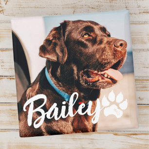 Pet's Simple Modern Cool Typografie Naam en foto Magneet