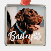 Pet's Simple Modern Cool Typografie Naam en foto Metalen Ornament (Voorkant)