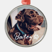 Pet's Simple Modern Cool Typografie Naam en foto Metalen Ornament (Voorkant)